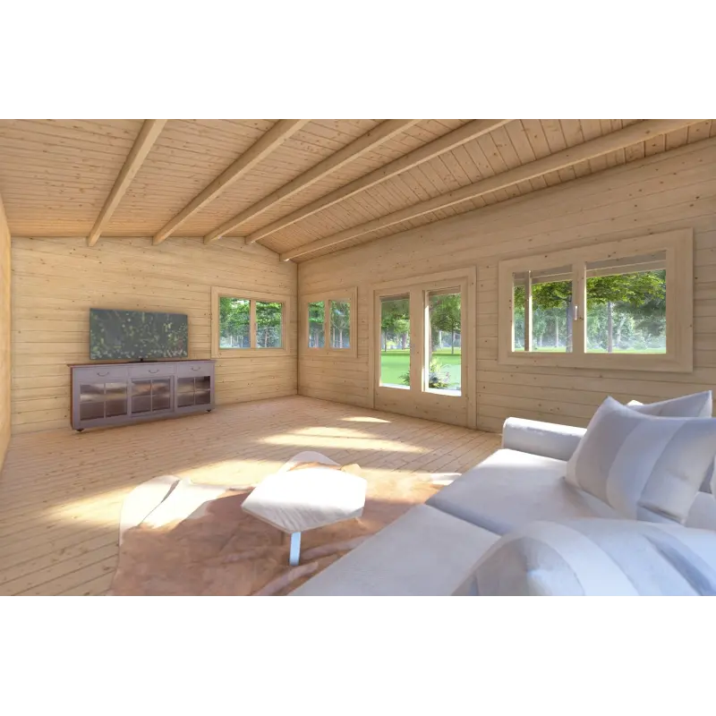 Casetta da giardino NELLA 6x4.2 con tettoia integrata 6x1.6 44 mm, interno