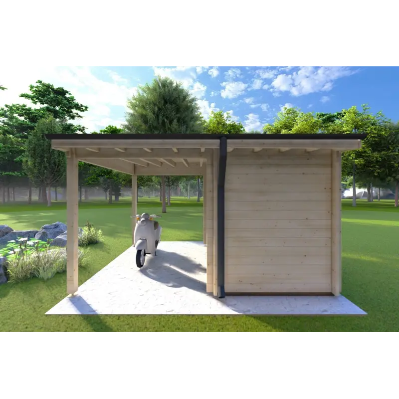 Casetta da giardino AMARISSA con tettoia 3x4 44mm, retro