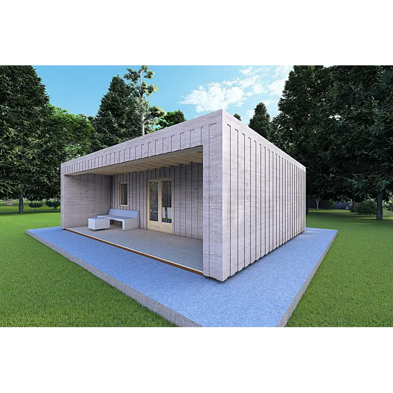 Bungalow di legno VISION 2 con patio 8x6 60/100/30/40 mm, fronte lato destro modello grigio legno