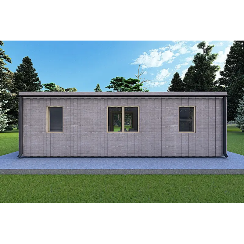 Bungalow di legno VISION 2 con patio 8x6 60/100/30/40 mm, retro modello grigio legno