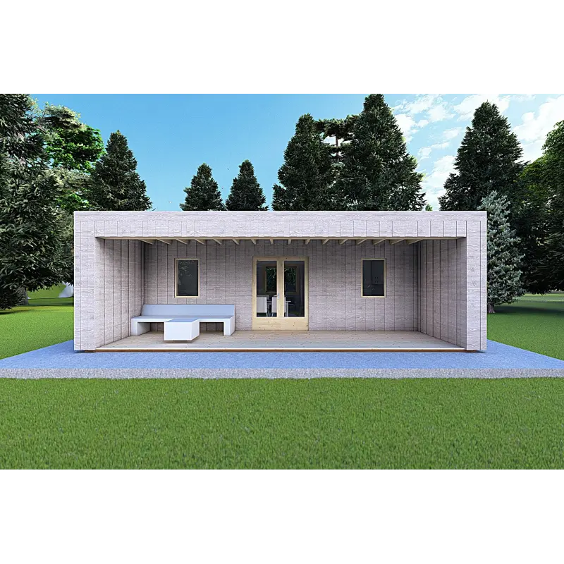 Bungalow di legno VISION 2 con patio 8x6 60/100/30/40 mm, vista frontale modello grigio legno