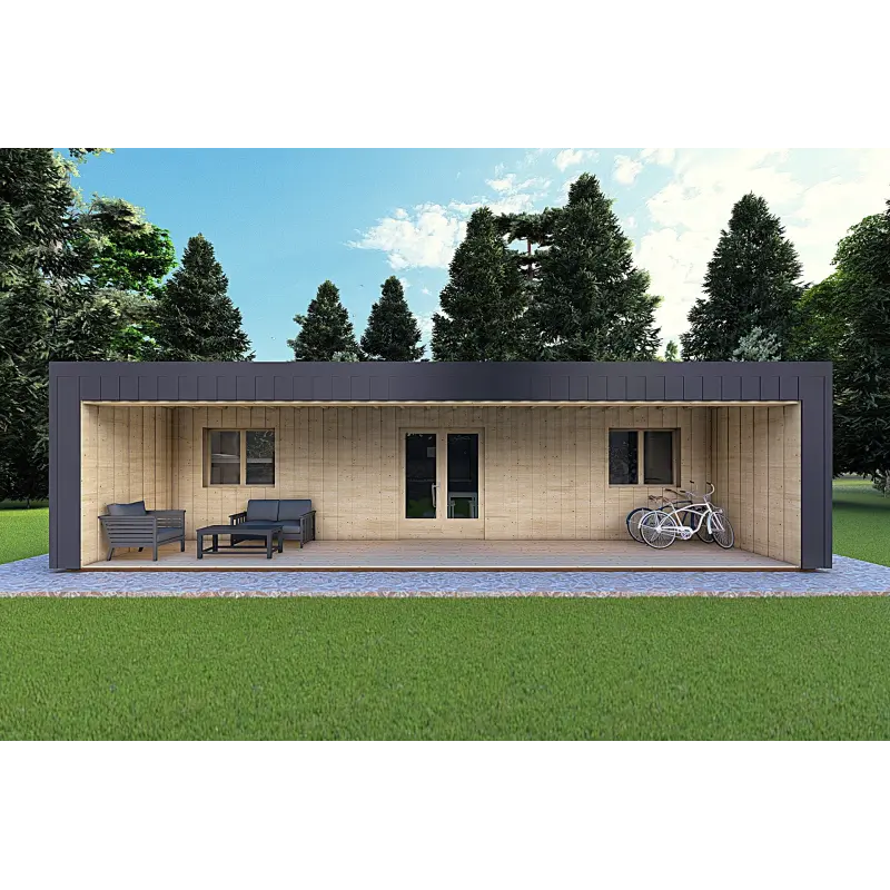 Bungalow in legno VISION 3 con patio 10x6 60/100/30/40 mm, vista frontale color antracite
