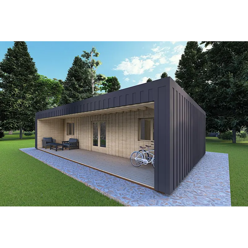 Bungalow in legno VISION 3 con patio 10x6 60/100/30/40 mm, fronte lato destro color antracite