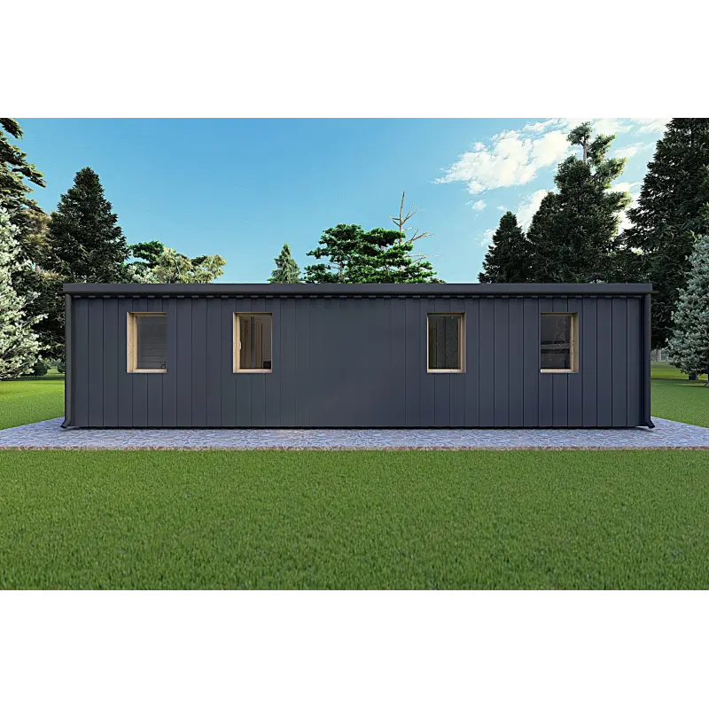 Bungalow in legno VISION 3 con patio 10x6 60/100/30/40 mm, retro color antracite