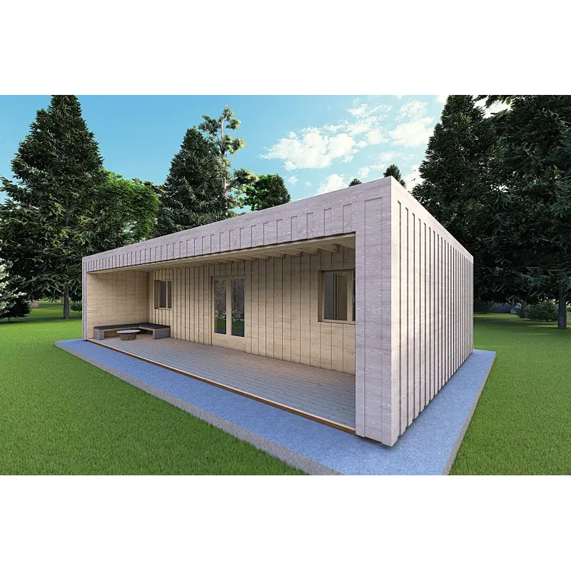 Bungalow in legno VISION 3 con patio 10x6 60/100/30/40 mm, fronte lato destro color grigio legno