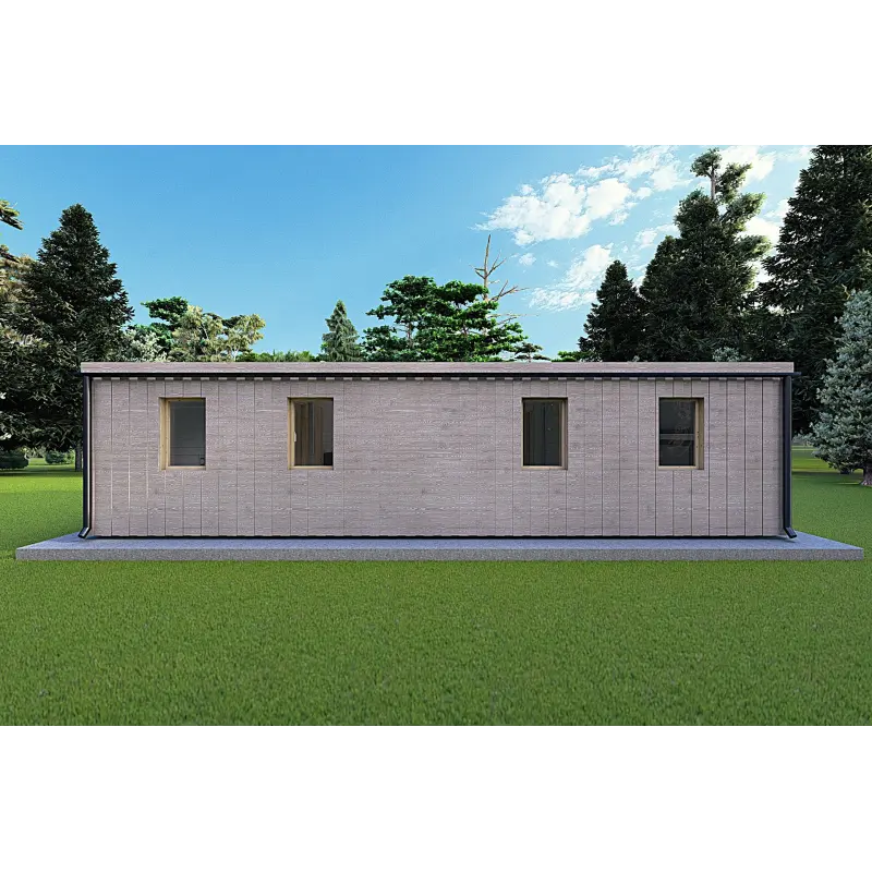 Bungalow in legno VISION 3 con patio 10x6 60/100/30/40 mm, retro color grigio legno