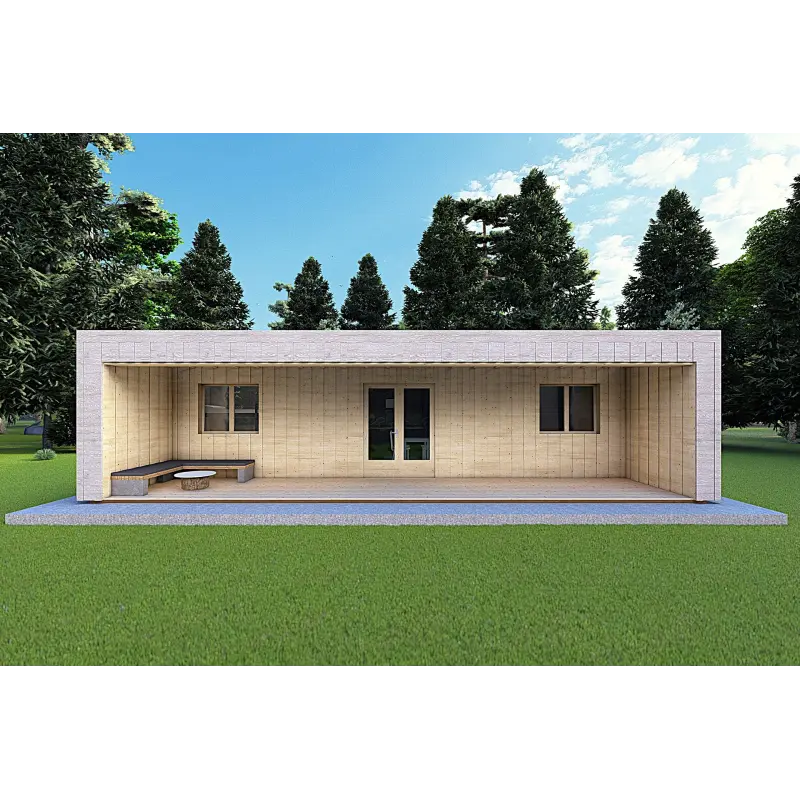 Bungalow in legno VISION 3 con patio 10x6 60/100/30/40 mm, vista frontale color grigio legno