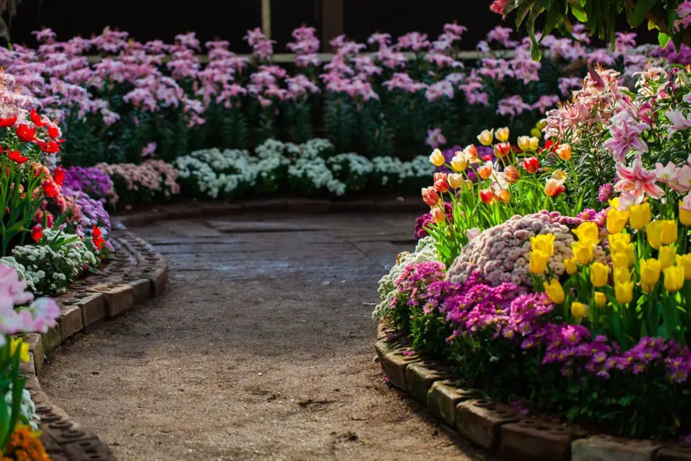garden design