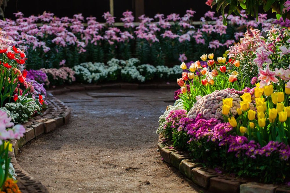 Garden design: consigli per creare il giardino perfetto